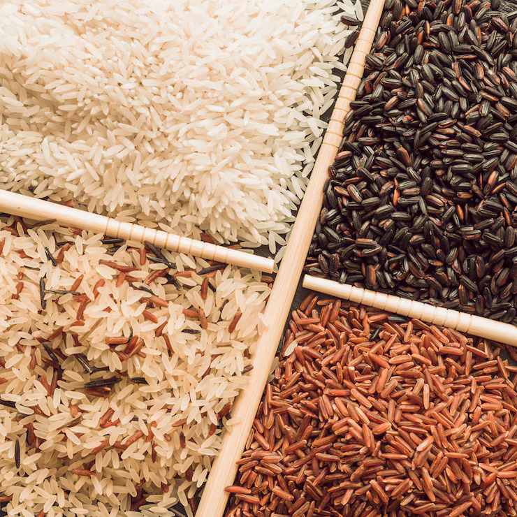 Rice-DDGS-Manufacturers-in-India