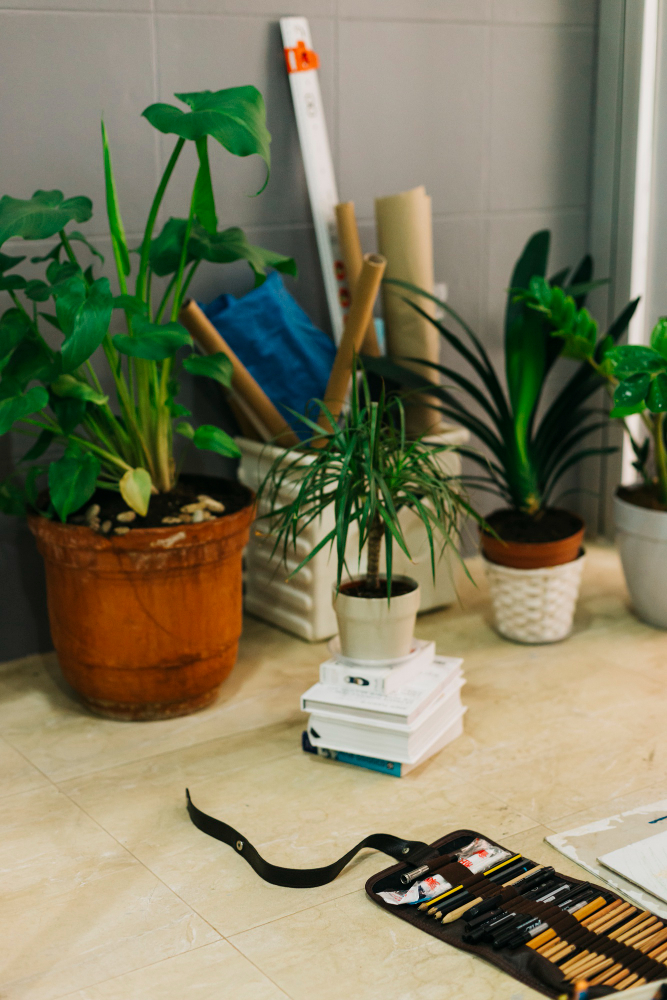 air-purifier-plants-for-office-4