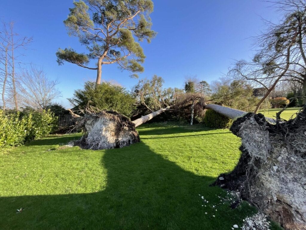 IMG_0242-1536×1152-1