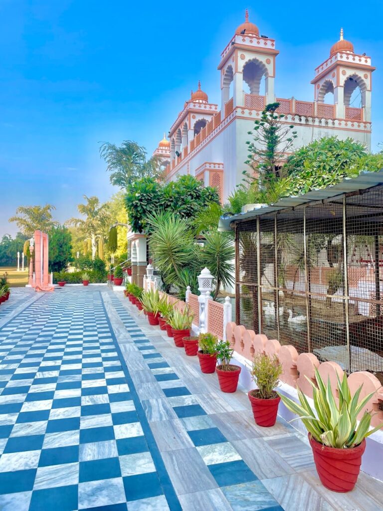 WhatsApp-Image-2026-04-13-at-11.22.32-AM-1