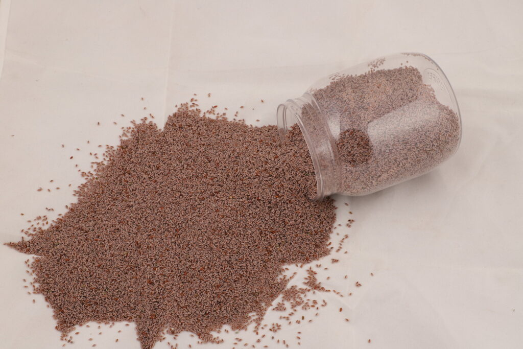 Psyllium-Seeds-2-1440×960-1